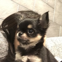 羽田ベル