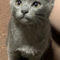 いつでも引き渡し可能です！