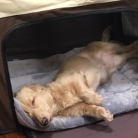 ソラ