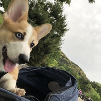 Zeus