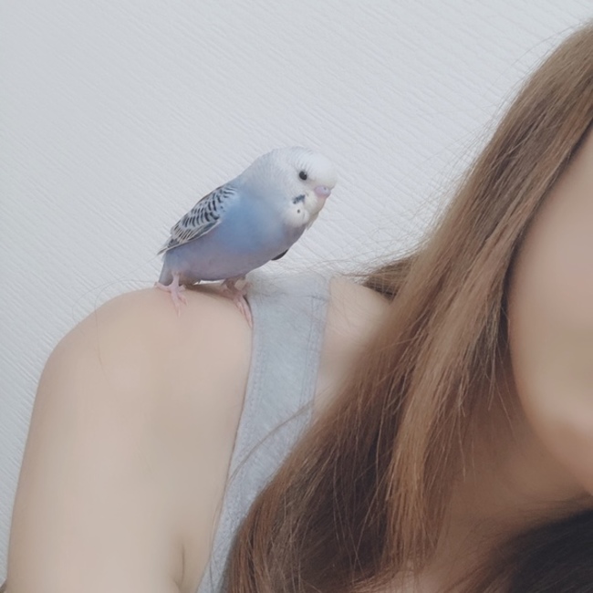 瑠奈瑠奈のカバー写真