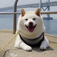 りきまる