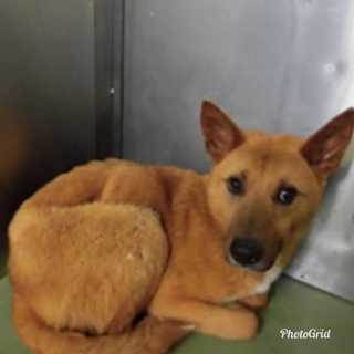 この子を助けてください。