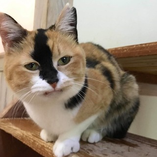 ありがとうございました