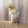 キャンディママ♪