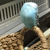 こんなところでウトウト
