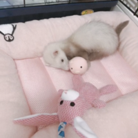 もかまる