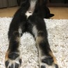 伸びーーー