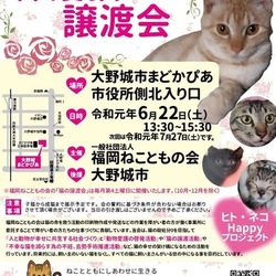 保護猫の譲渡会 福岡県大野城市 福岡ねこともの会