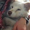  さん