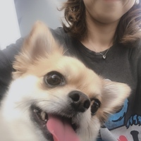 ちびすけ