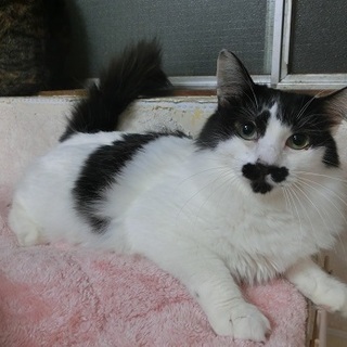 まりんちゃん家族ができました。