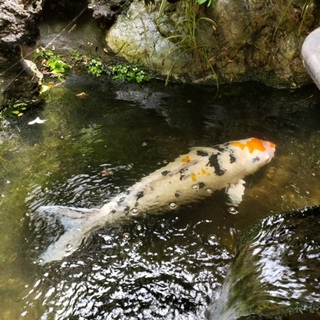 可愛がってくださる方が見つかりました‼️