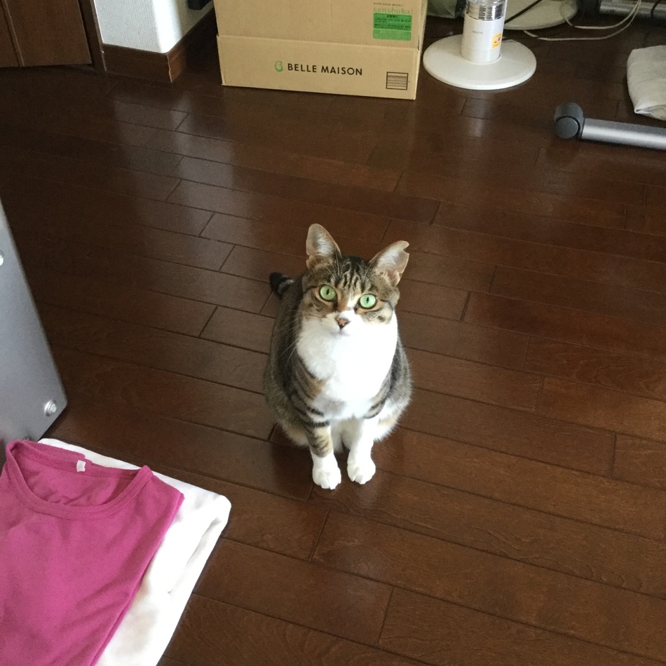 なののカバー写真