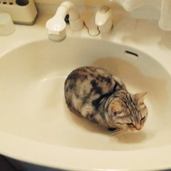 暑くて喉が渇くです