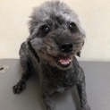常に触って触ってなミロちゃん