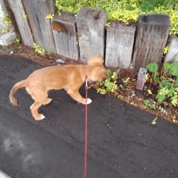 「自我のめざめ」サムネイル2