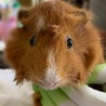 里親が決まりました サムネイル2