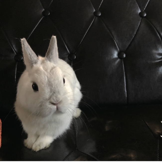 なりまさのカバー写真