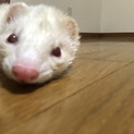 終了しました！