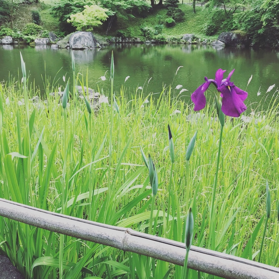 盆暮れ（ボンちゃん）のカバー写真