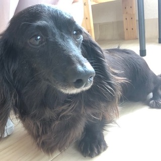 あめちゃん　５才