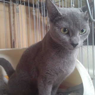 kaz_kaz さんお迎え予定