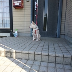 大きくなりました‼️