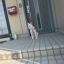 「大きくなりました‼️」サムネイル2