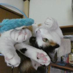 「忘れてました！」サムネイル2