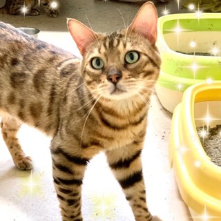 管理番号︰OSー713