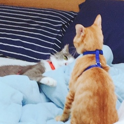 アッちゃんにグッドモーニング♩