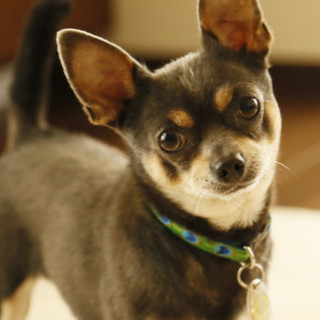 良いご縁に繋がりました。