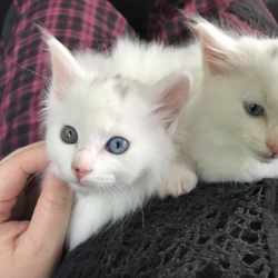 「ようこそ」サムネイル2