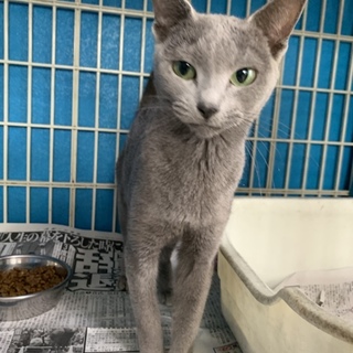 kuma-.-さんお迎え予定