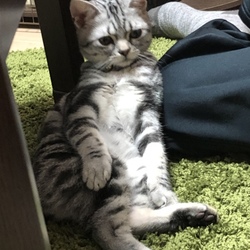 なにか大事なものを失ったような。。。