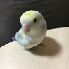 の写真