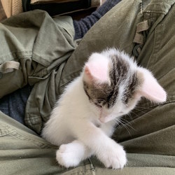 里親さんからのご報告＾＾。