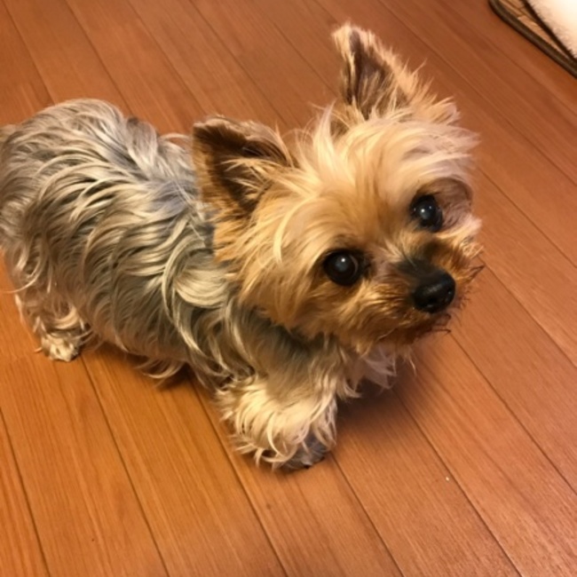 まなみるくぅのカバー写真