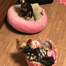 相性が合うから？