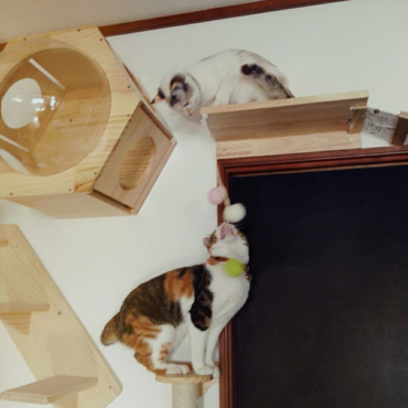 の写真