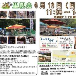 ワンニャンプロジェクト犬猫里親会