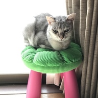 ピーチ姫