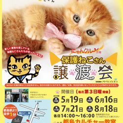 6月16日第60回にゃんクルー譲渡会