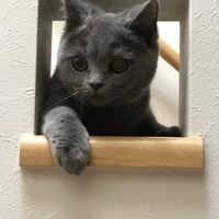 なな