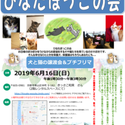 6/16 ひなたぼっこの会(犬猫の譲渡会)