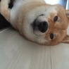 おーきどん