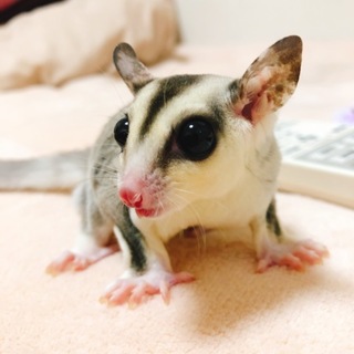 たくさんのご応募ありがとうございました。