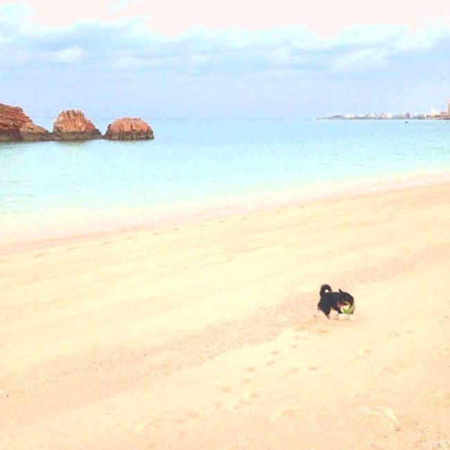 osm21のカバー写真