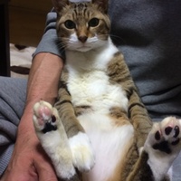 次郎